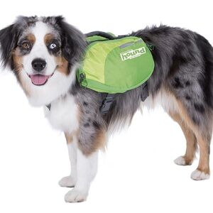 Outward Hound Lime Green Dog Pack